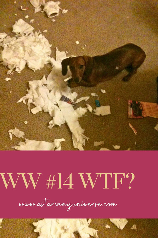 Wordless Wednesday #14 - WTF?