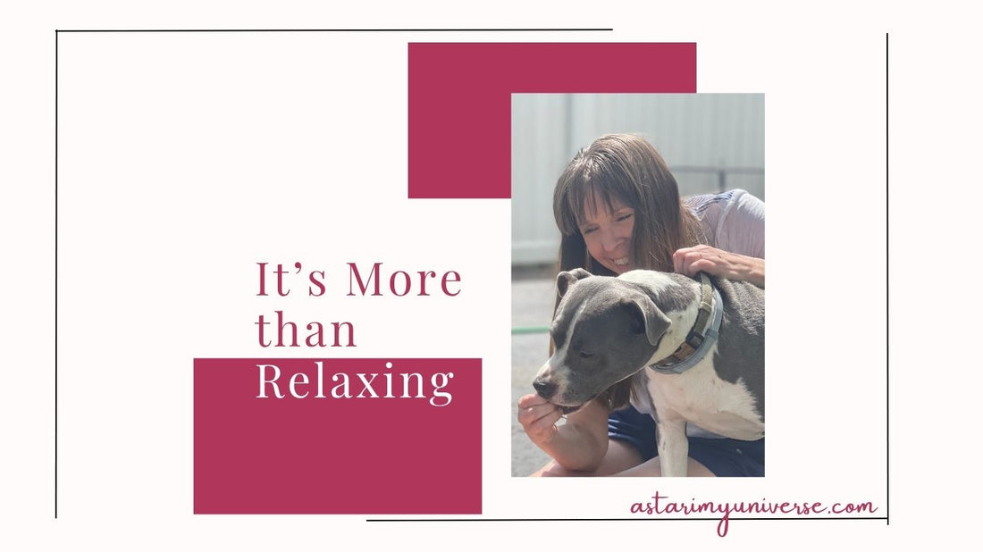 woman stroking dog
