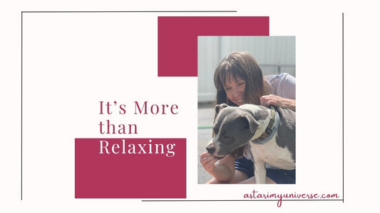 woman stroking dog